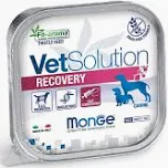 MONGE DOG VETSOLUTION UMIDO VASCHETTA RECOVERY GR 150