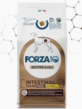FORZA 10 DOG LINEA VETERINARY INTESTINAL COLON FASE 1 AGNELLO KG 10